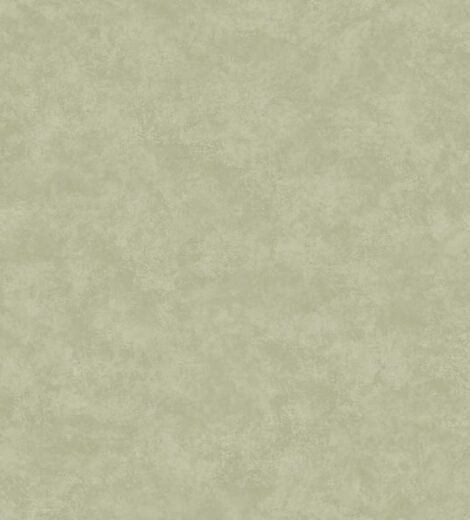 CREATOR: gd-jpeg v1.0 (using IJG JPEG v62), quality = 82