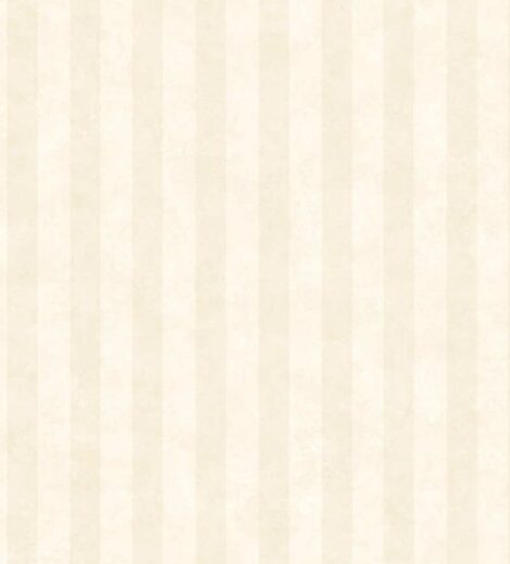 CREATOR: gd-jpeg v1.0 (using IJG JPEG v62), quality = 82