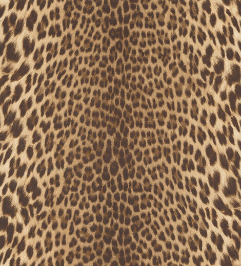 185697