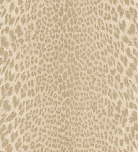 185703